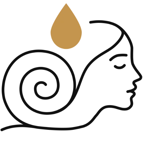 SPIRALUX icona del sito